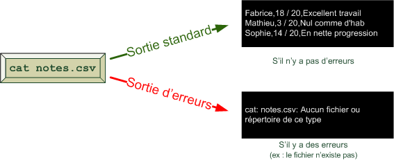 Les deux flux de sortie