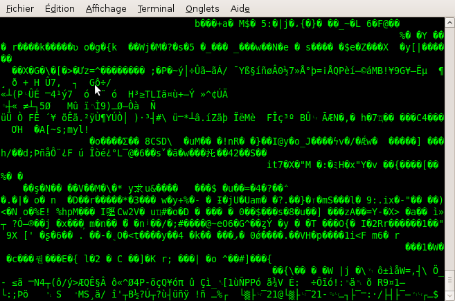 Affichage d'un fichier gzippé