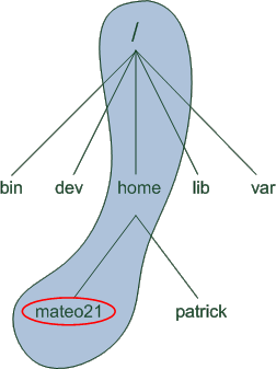 Dossier /home/mateo21